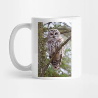 Who, Who, Who cooks for you? Barred Owl Mug